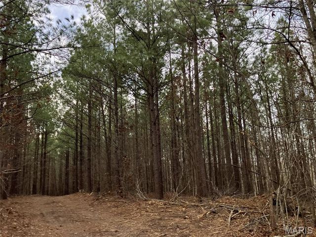 204 Madison CR 410, Fredericktown, MO 63645