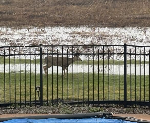 11046 W Scott Road, Ridgeway, NY 14103