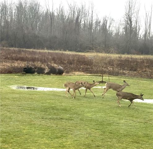 11046 W Scott Road, Ridgeway, NY 14103