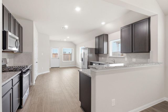 14107 Balcones Fault Court, Willis, TX 77318