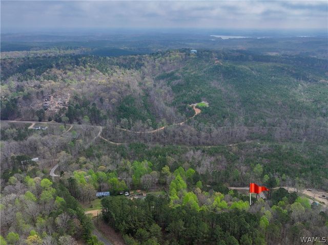 13410 Rocky Ridge, Northport, AL 35475