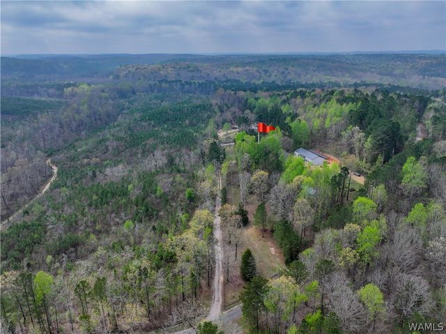 13410 Rocky Ridge, Northport, AL 35475