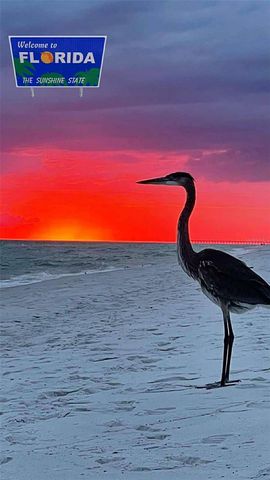 31726 CABANA RYE AVENUE, San Antonio, FL 33576