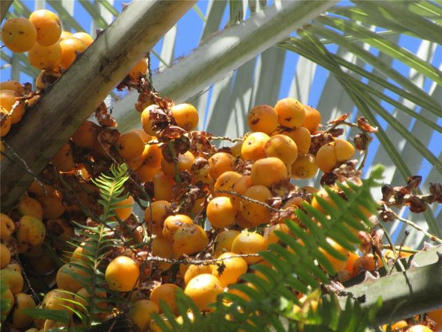 1605 SE 160TH COURT, Ocklawaha, FL 32179