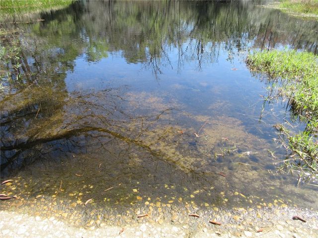 1605 SE 160TH COURT, Ocklawaha, FL 32179