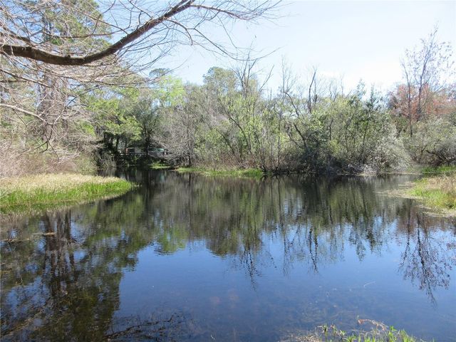 1605 SE 160TH COURT, Ocklawaha, FL 32179