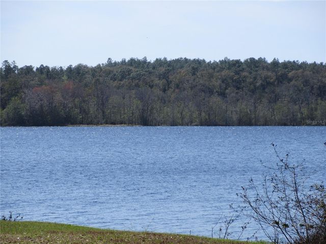 1605 SE 160TH COURT, Ocklawaha, FL 32179