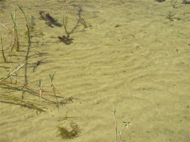 1605 SE 160TH COURT, Ocklawaha, FL 32179