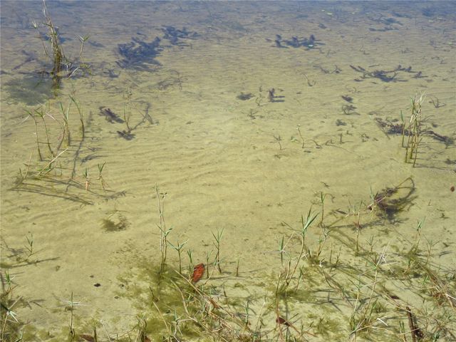 1605 SE 160TH COURT, Ocklawaha, FL 32179