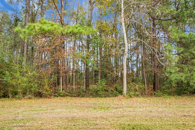 167 Tabby Creek Circle, Summerville, SC 29486