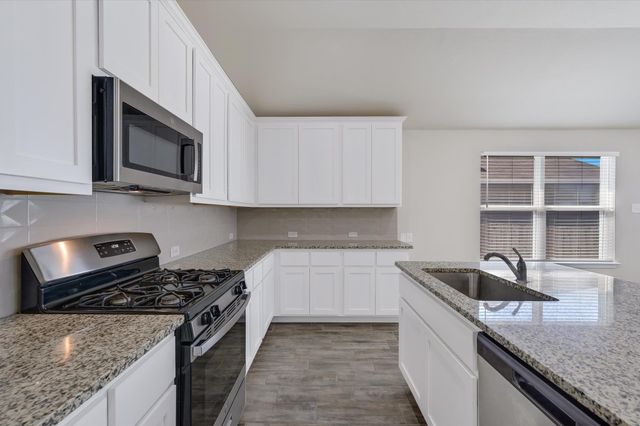 201 Spiny Lizard LN, San Marcos, TX 78666