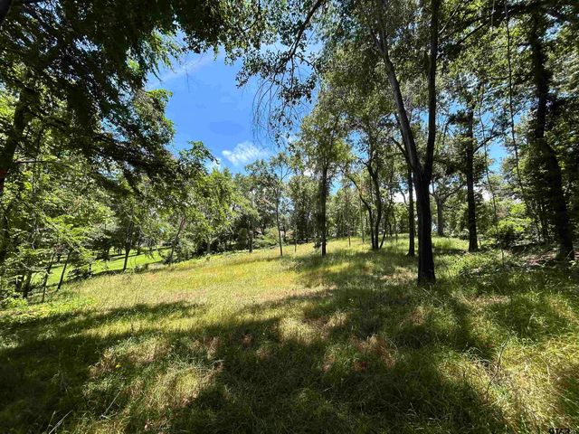 LOT TR 5B STEVENSON RD, Frankston, TX 75763