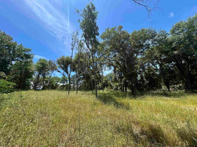 LOT TR 5B STEVENSON RD, Frankston, TX 75763