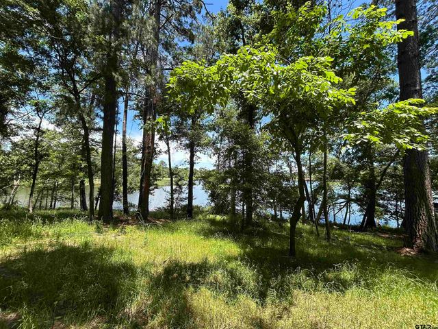 LOT TR 5B STEVENSON RD, Frankston, TX 75763