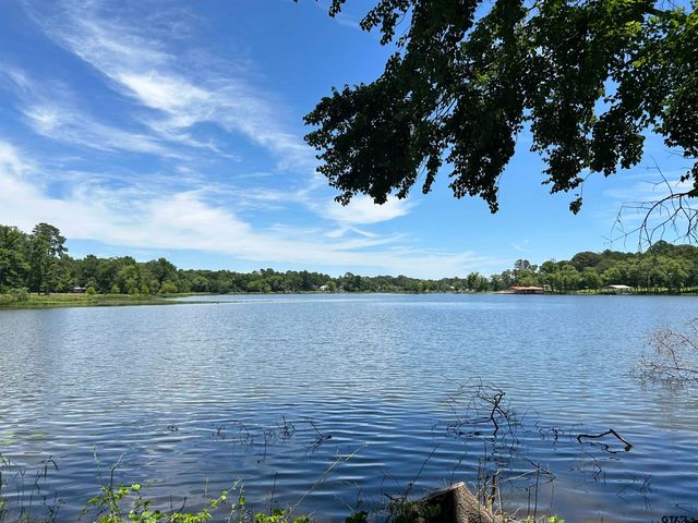 LOT TR 5B STEVENSON RD, Frankston, TX 75763