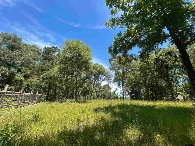 LOT TR 5B STEVENSON RD, Frankston, TX 75763