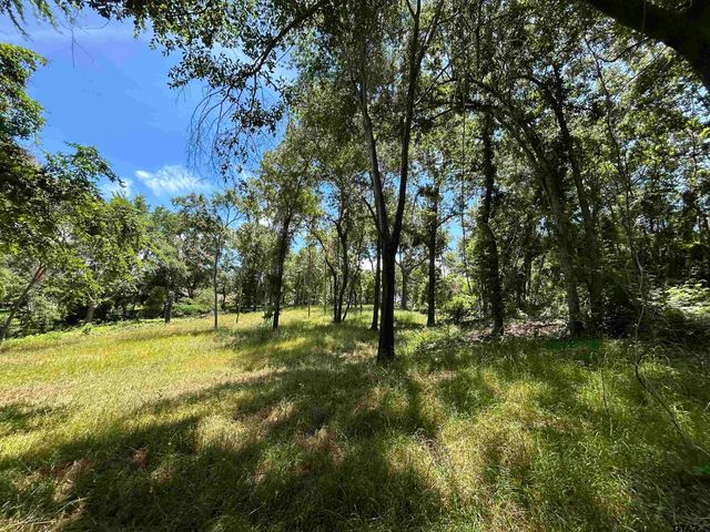 LOT TR 5B STEVENSON RD, Frankston, TX 75763
