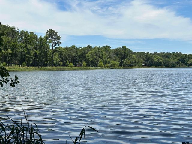 LOT TR 5B STEVENSON RD, Frankston, TX 75763