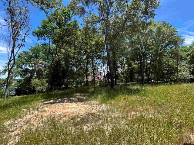 LOT TR 5B STEVENSON RD, Frankston, TX 75763