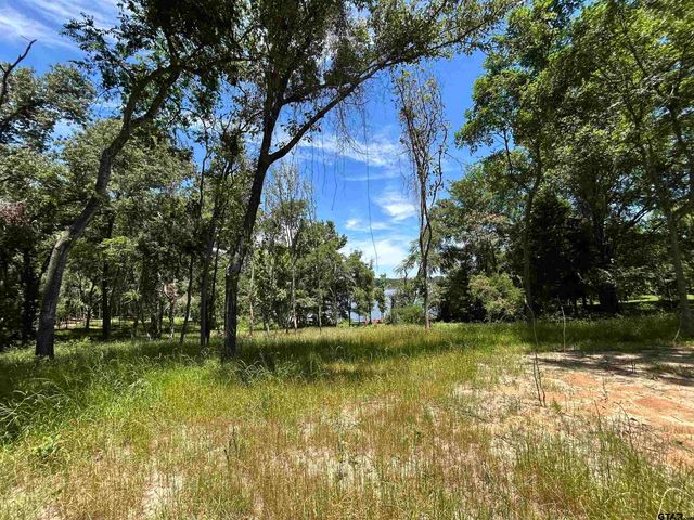 LOT TR 5B STEVENSON RD, Frankston, TX 75763