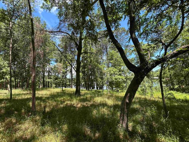 LOT TR 5B STEVENSON RD, Frankston, TX 75763
