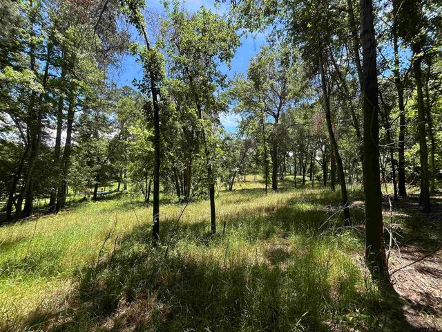 LOT TR 5B STEVENSON RD, Frankston, TX 75763