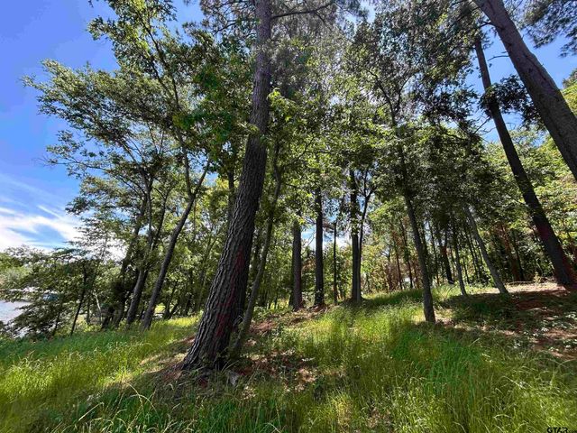 LOT TR 5B STEVENSON RD, Frankston, TX 75763