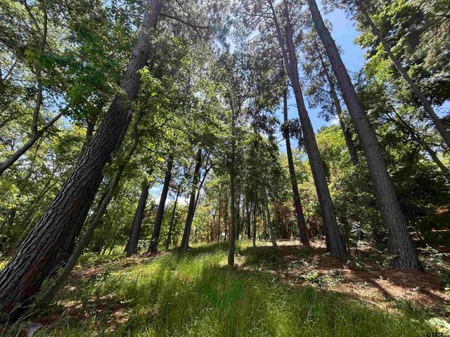 LOT TR 5B STEVENSON RD, Frankston, TX 75763