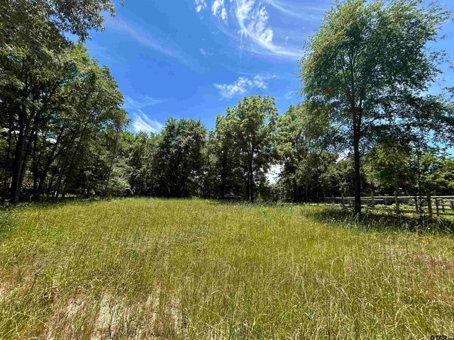 LOT TR 5B STEVENSON RD, Frankston, TX 75763