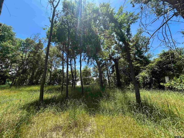 LOT TR 5B STEVENSON RD, Frankston, TX 75763