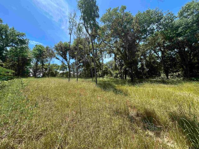 LOT TR 5B STEVENSON RD, Frankston, TX 75763