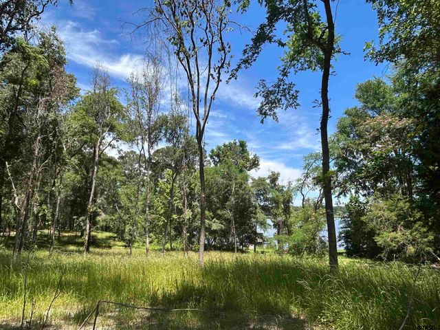 LOT TR 5B STEVENSON RD, Frankston, TX 75763
