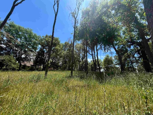 LOT TR 5B STEVENSON RD, Frankston, TX 75763