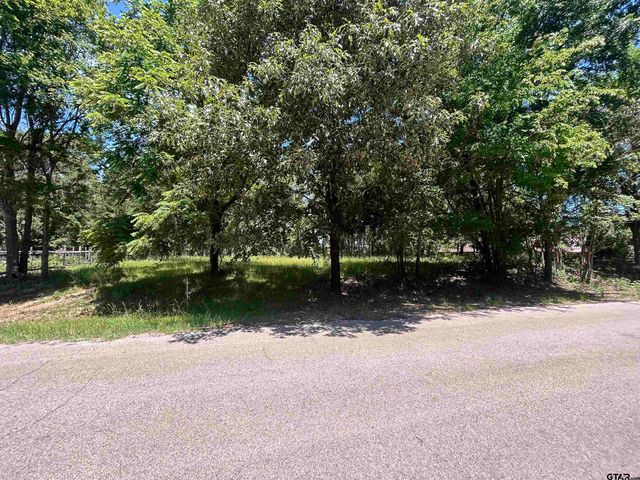 LOT TR 5B STEVENSON RD, Frankston, TX 75763