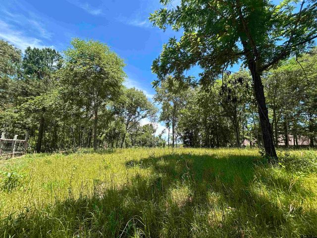 LOT TR 5B STEVENSON RD, Frankston, TX 75763