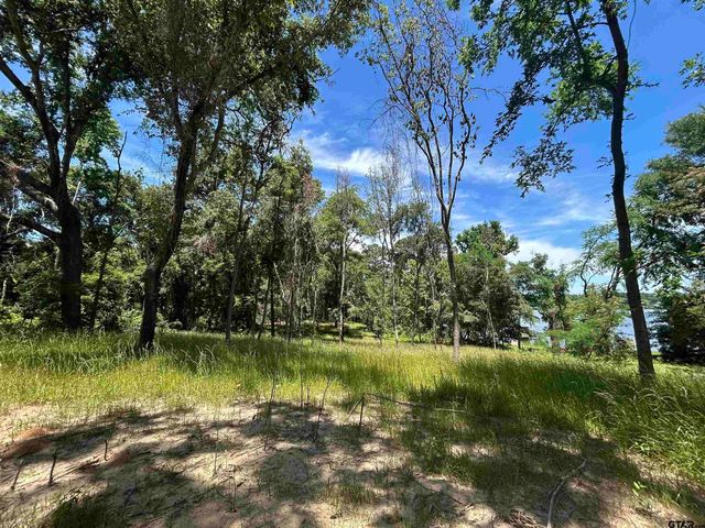 LOT TR 5B STEVENSON RD, Frankston, TX 75763