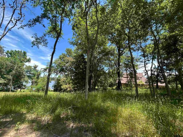 LOT TR 5B STEVENSON RD, Frankston, TX 75763