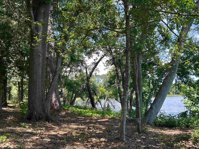 LOT TR 5B STEVENSON RD, Frankston, TX 75763