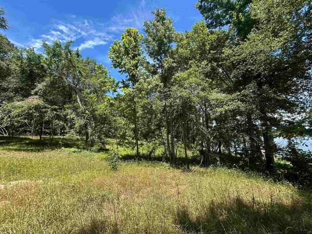 LOT TR 5B STEVENSON RD, Frankston, TX 75763