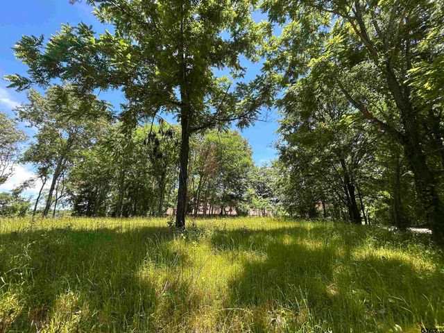 LOT TR 5B STEVENSON RD, Frankston, TX 75763