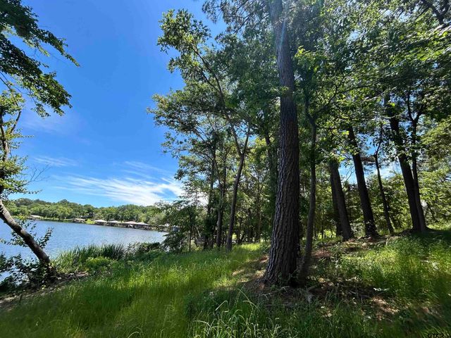 LOT TR 5B STEVENSON RD, Frankston, TX 75763