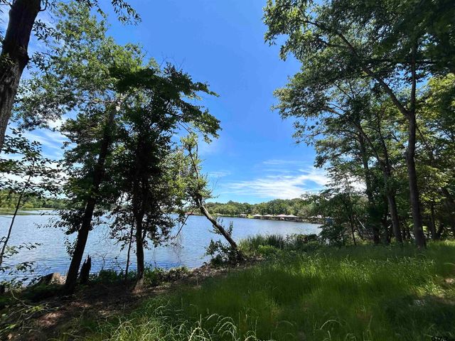 LOT TR 5B STEVENSON RD, Frankston, TX 75763