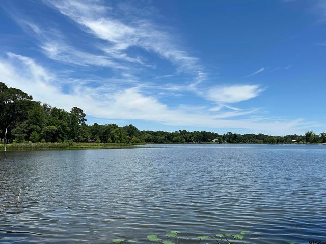 LOT TR 5B STEVENSON RD, Frankston, TX 75763