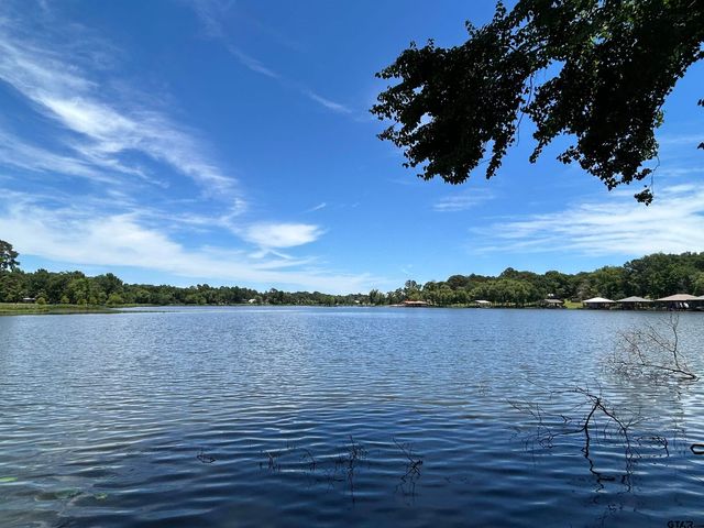 LOT TR 5B STEVENSON RD, Frankston, TX 75763