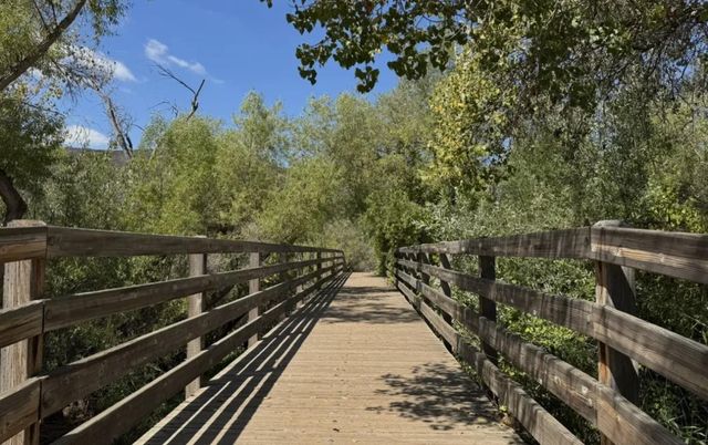 104 Walnut Hill Court, Los Gatos, CA 95032