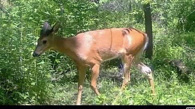 2542 County Road P, Verona, WI 53593