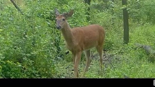 2542 County Road P, Verona, WI 53593