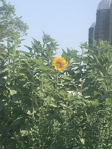 2542 County Road P, Verona, WI 53593