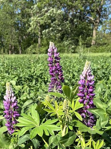 2542 County Road P, Verona, WI 53593