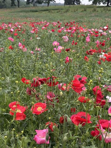 2542 County Road P, Verona, WI 53593